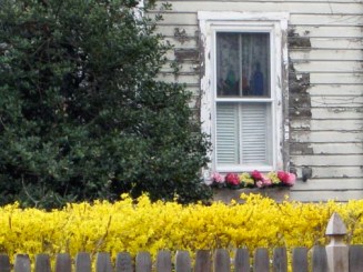 old house in springtime