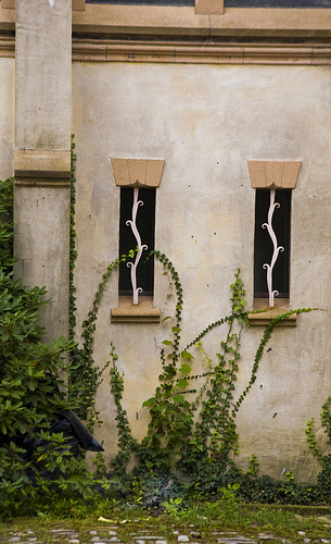 Photo by Laura Kacey