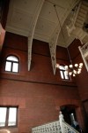 looking up_Furness_Fisher Fine&nbsp;Arts